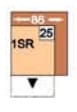 Polinova Allround-L 1SR