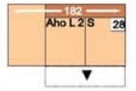 Polinova Allround-L AhoL2S