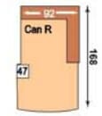 Polinova Allround-L CanR